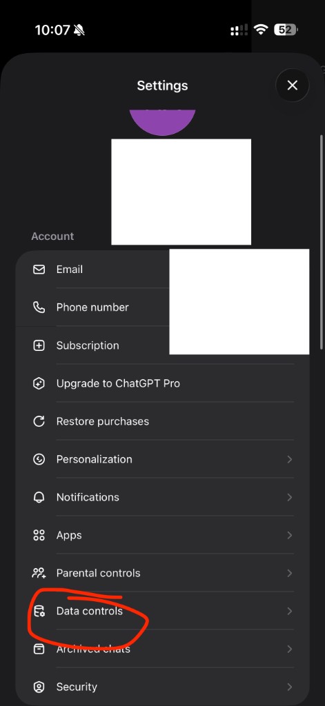 Data controls option in Settings
